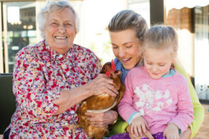 incubate @ 35 degrees