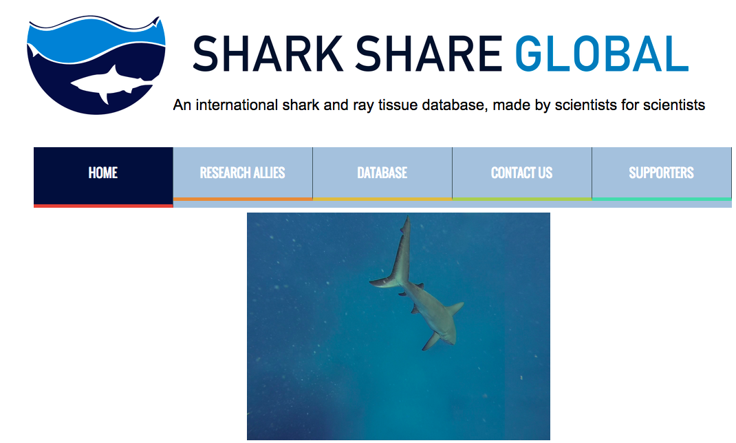 screen-shot-2016-12-09-at-1-08-09-pm