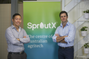 sproutx