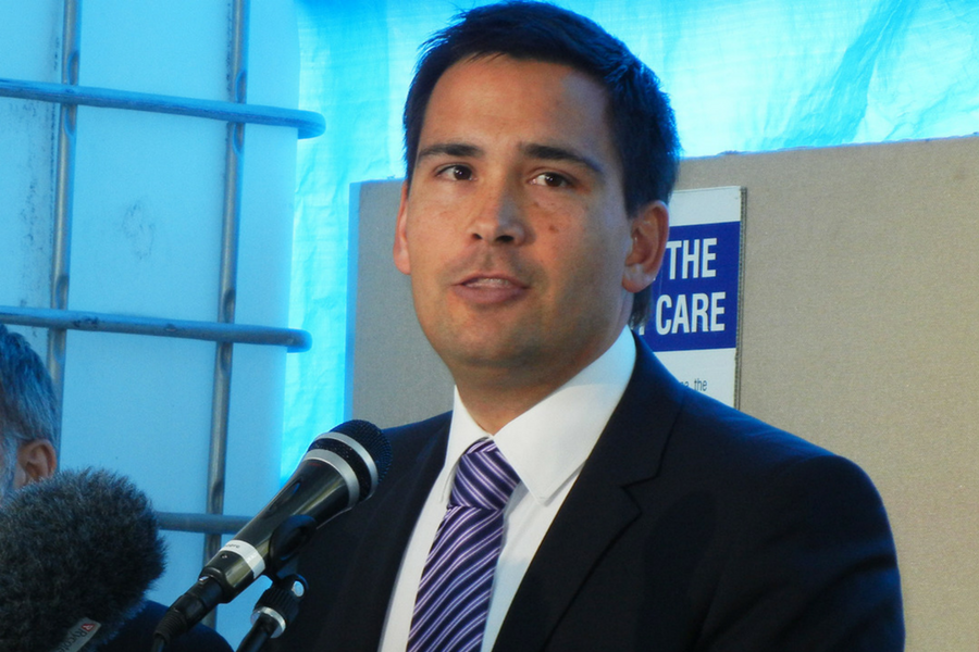 Simon Bridges