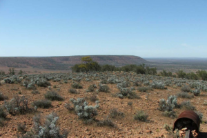 Clean Energy Finance Corporation