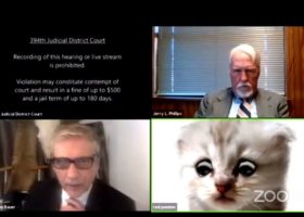 Zoom court, not a cat